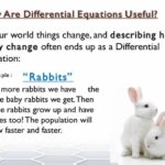Solved Logistic differential equations are used, amongst | Chegg.com
